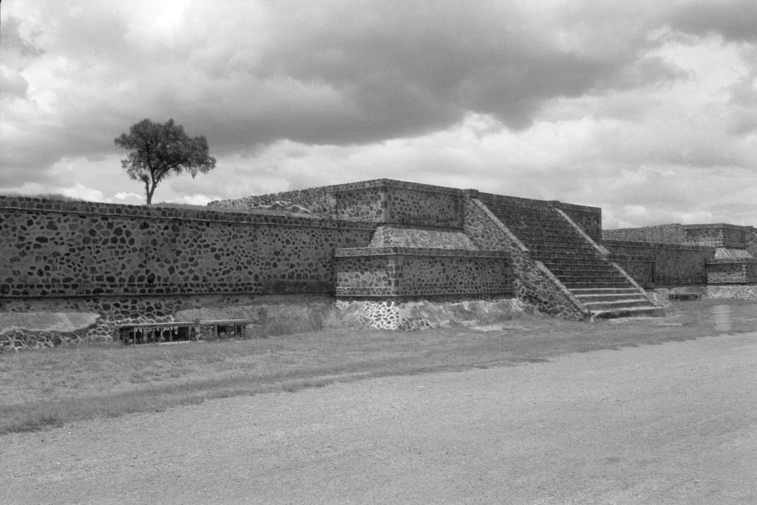 AHP FilmScan 240807 0541